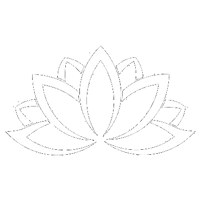 Lotus Webdesign